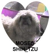 mosesheart.jpg